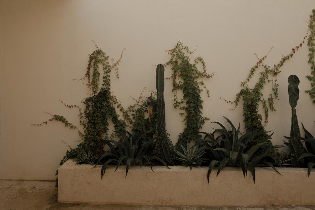 דירות קמפצ'ה Narrativ Lofts -Solario- Charming Historic Escape מראה חיצוני תמונה